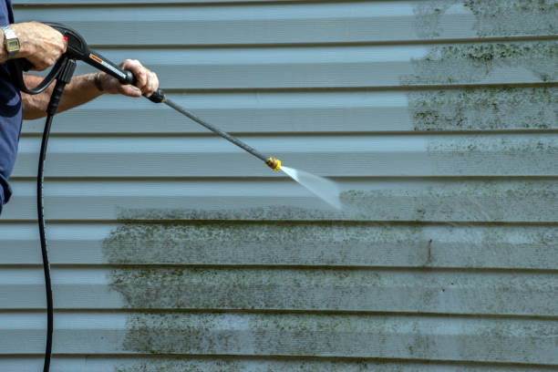 Best Roof Washing  in Macarthur, WV